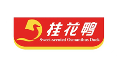 &#22810;&#23453;&#32593;&#39029;&#29256;&#45;&#22810;&#23453;&#65288;&#20013;&#22269;&#65289;